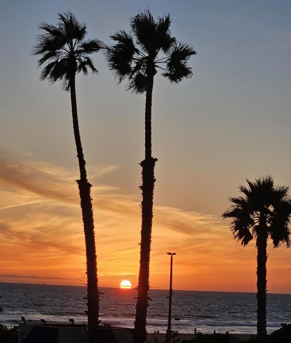 Huntington Surf Inn image 2