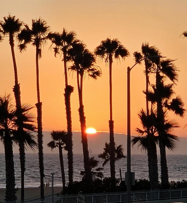 Huntington Surf Inn image 3